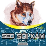 Seo Sói Xám